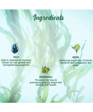 Biotique Bio Kelp Fresh Growth Protein Shampoo 800ml - Nourish & Strengthen Hair | International Shipping Available - Buy Online on GoSupps.com