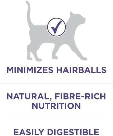 Purina ONE Dry Cat Food Hairball Formula 1.8 kg & Healthy Kitten Food Dry Cat Food 1.8 kg - Buy Online on GoSupps.com