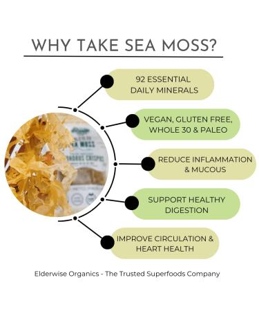 Irish Sea Moss from Ireland | Wildcrafted Chondrus Crispus | Raw Golden Irish Moss - Buy Online on GoSupps.com