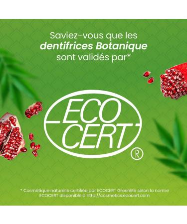 Himalaya Neem & Pomegranate Botanical Toothpaste Fights Plaque Brightens Teeth No Fluoride No Artificial Flavors Mint Flavor 150g - Buy Online on GoSupps.com