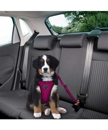 Slowton Dog Harness & Seat Belt - Breathable Latex Puppy Harness for Safe Car Travel & Everyday Sports | Size L in Fuchsie - Buy Online on GoSupps.com