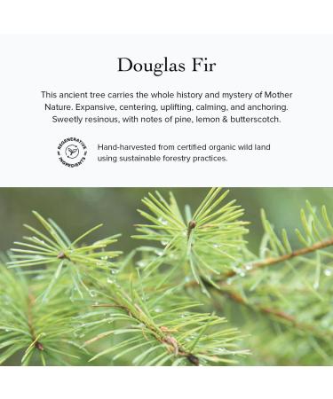 evanhealy Douglas Fir HydroSoul | Organic Copper Distilled Hydrosol for Dull Devitalized Sensitive & Congested Skin | Calming Purifying & Uplifting - Buy Online on GoSupps.com