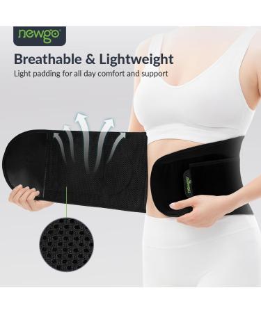 Buy Newgo Back Support Belt with 5 Struts Comfortable Heat/Cool Lower Back Bandage for Men & Women Breathable Work Belt for Pain Relief - Buy Online on GoSupps.com