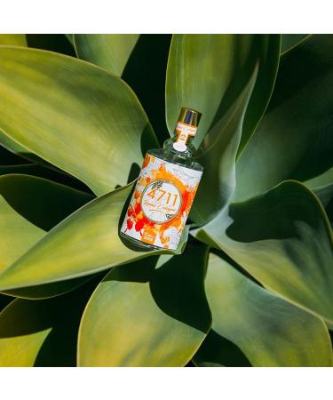 Muelhens 4711 Remix Cologne - Orange for Women - 3.4 oz EDC Spray Lavender 3.4 Fl Oz (Pack of 1) - Buy Online on GoSupps.com