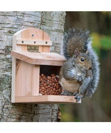 Jacobi Jayne Nutbox Squirrel Feeder - UK Garden Squirrel Feeder with Quick Release Mount - Buy Online on GoSupps.com