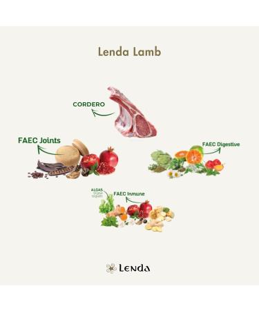 Lenda Lamb - Food for Adult Dogs with Normal Activity | Rich in Lamb and Supplemented with Salmon Oil | Tasty and Nutritious Food for Demanding Palates - 2 Kg - Buy Online on GoSupps.com