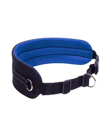 LASALINE Canicross Belt Belly Belt for Dog Leash Dogtrekking Belt in Black Blue - Buy Online on GoSupps.com