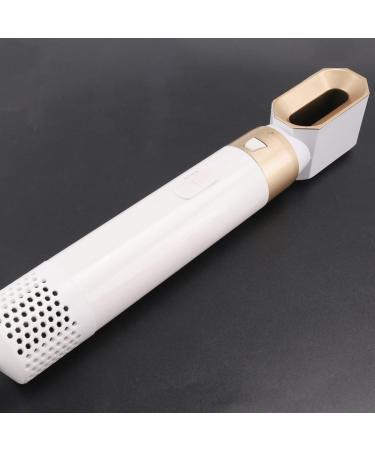 piuryue Hair Dryer Hair Multi Styler for Hair Curling Iron Hair Straightener Hair Brush Hair Dryer US Plug - Buy Online on GoSupps.com