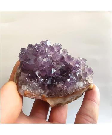 Natural Crystal Rough Amethyst Rough Stone Natural Big Raw Amethyst Quartz Purple Crystal Cluster Stones Home Decoration Crafts Amethyst Cluster Ornament (Color : Purple Size : 110-140g) 110-140g Purple - Buy Online on GoSupps.com