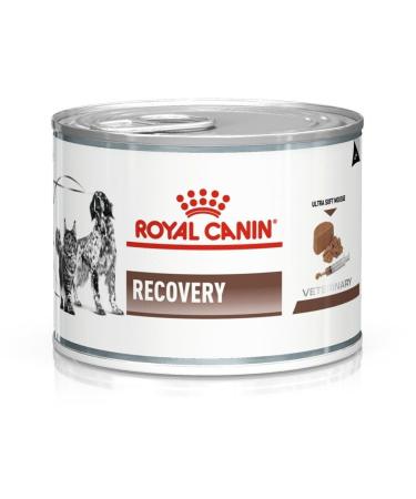 Royal Canin Vet Dog/Cat Recovery Dog Food 195 g