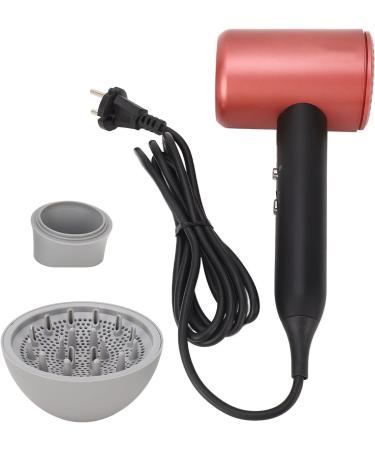 Professional Ionic Hair Dryer 1800W Fast Drying Low Noise with 2 Nozzles Hair Care & Repair Overheat Power Saving (US Plug 110V) - Buy Online on GoSupps.com
