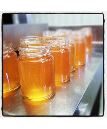 SIGI Azienda Agricola QUINCE Jelly | Free of Food Dyes Preservatives and Chemical Additives | 100% Artisanal and Natural | Handmade and Made in Italy | Jar 110gr. - Buy Online on GoSupps.com