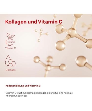 Doppelherz System Collagen 11 000 Plus - 30 Bottles for Musculoskeletal Health & Cell Protection - Shop Internationally - Buy Online on GoSupps.com
