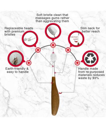 Buy Radius Toothbrush - Source Super Soft Assorted | International Shipping Available - Buy Online on GoSupps.com