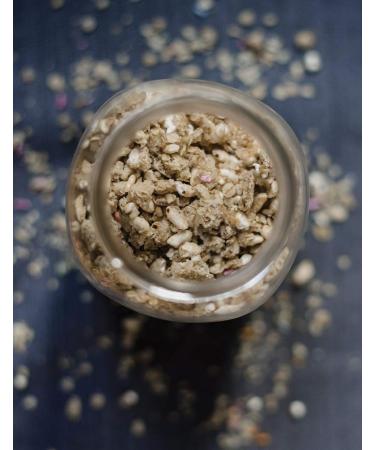 Safe Fair Food Birthday Cake - 24 oz | Delicious & Allergy-Friendly Treat - Buy Online on GoSupps.com