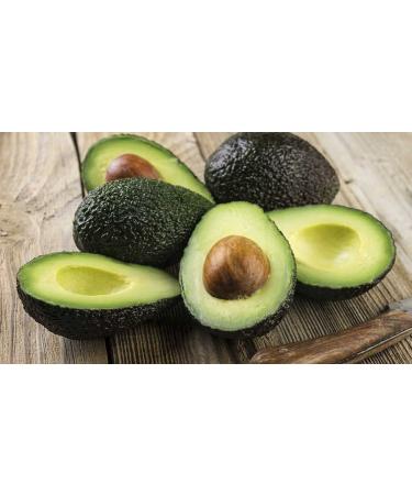 Yumma Avocado Guacamole With Hass Avocado - Mild - 2 Oz. - Buy Online on GoSupps.com