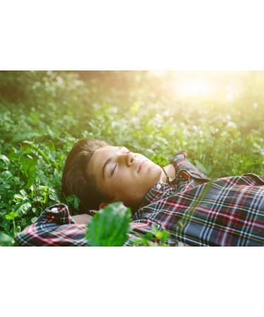 Ohropax Pink Silicone Earplugs - Reusable Skin-Friendly Water Noise & Wind Protection - 1x6 Pieces (Pack of 2) - Buy Online on GoSupps.com