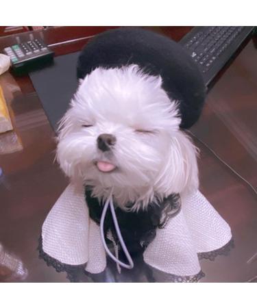 MuYaoPet French Artist Wool Beret Hat for Dog & Cat - Black, One Size - Buy Online on GoSupps.com