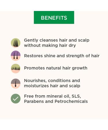 Dheedhi Hair Care Herbal Shampoo 200ml - Nourishing Natural Formula for Healthy Hair | Buy Internationally - Buy Online on GoSupps.com