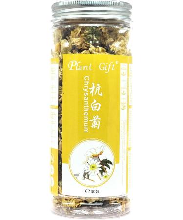 PlantGift White Chrysanthemum Bud 30G/1oz HangZhou Chrysanthemum Flower Tea Chinese Herbel Tea Flower Tea - Buy Online on GoSupps.com