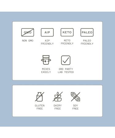 Amy Myers MD Paleo Protein Powder - Double Chocolate 20 Servings - Collagen-Based Gut Function Support - Gluten-Free & Non-Dairy Protein Supplement Double Chocolate 1.38 Pound (Pack of 1) - Buy Online on GoSupps.com