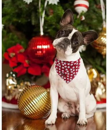 Shop Lionet Paws Christmas Dog Bandana - Triangular Headscarf for All Sizes - Santa Claus Design for Festive Pets - Buy Online on GoSupps.com