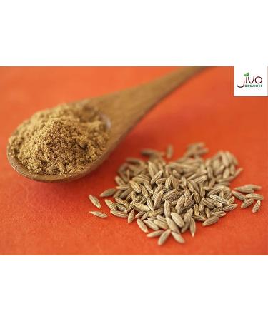 Jiva Organics Organic Ground Cumin Powder 1 Pound Jar - 100% Pure & Non-GMO Cumin Seed Powder - Buy Online on GoSupps.com