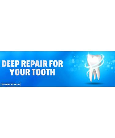 2X Signal Herbal Toothpaste for Gum Care - Reinforces & Protects Gums with Sage & Thyme - 100ml - Buy Online on GoSupps.com
