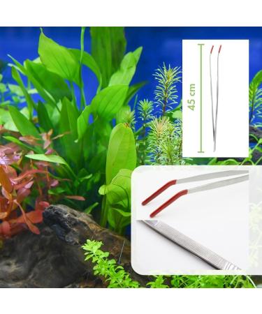 Stainless Steel Food Tweezers 45 cm - Angled Rubberized Feeding Aid for Terrariums & Aquariums - from 3.49 - Buy Online on GoSupps.com