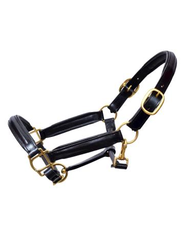 Aces Equine LEATHER HORSE HEADCOLLAR HALTER FULLY RAISED AND PADDED BLACK COLOR BRASS FITTING COB