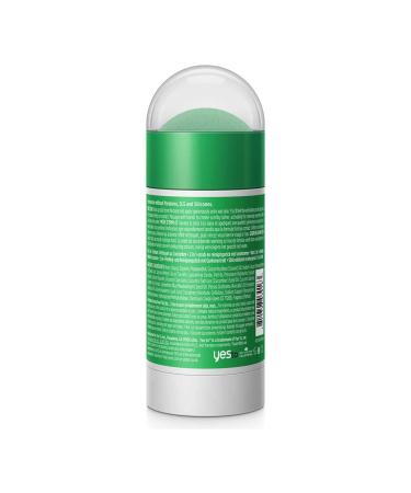 Yes To Cucumbers Calming 2-in-1 Scrub & Cleanser Stick - 2.5 oz | For Sensitive Skin - Buy Online on GoSupps.com