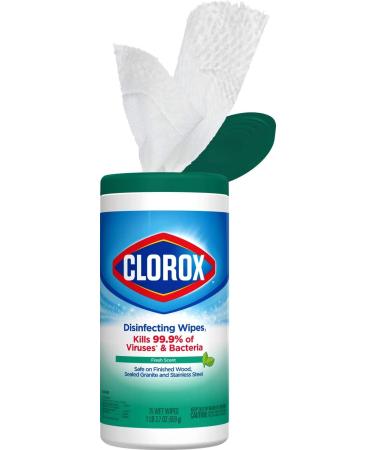 Clorox Disinfecting Wipes Value Pack - 75 Count Each (Pack of 2) | Bleach Free Cleaning Wipes - Buy Online on GoSupps.com