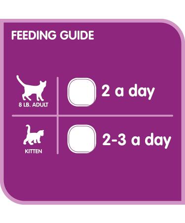 WHISKAS Salmon Poultry Seafood Whitefish & Tuna Wet Cat Food Pat | 36 Pack Cat Food + Wet Cat Food Multipack Salmon & Poultry Selections 100 g (Pack of 24) - Buy Online on GoSupps.com