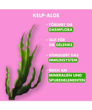 Irish Pure Dry Dog Food 1.5kg | Weidelamm & Freiland-Huhn | High Meat Cereal-Free Sensitive Formula | All Breeds - Buy Online on GoSupps.com