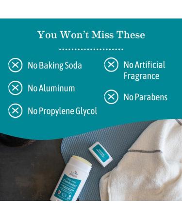 Earth Mama Ginger Fresh Deodorant | Safe for Sensitive Skin Pregnancy and Breastfeeding Contains Organic Ginger and Lime No Baking Soda or Aluminum 2.65-Ounce NEW Ginger Fresh 2.65 Fl Oz (Pack of 1) - Buy Online on GoSupps.com