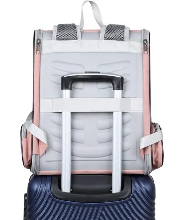 Tecageaon Pet Backpack Carrier for Small Cats Dogs Rabbit Ventilated Design Safety Straps Buckle Support Collapsible Designed for Travel Hiking Walking & Outdoor Use (Pink) - Buy Online on GoSupps.com