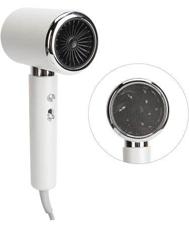 Electric Hair Dryer Concentrator Nozzle Ionic Release Blow Dryer Overheat Protection for Home Use (US Plug 110V) - Buy Online on GoSupps.com