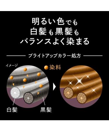 Kao Blaune Lumiest Hair Color Gray Hair Dye 1WB Warm Brown - Buy Online on GoSupps.com