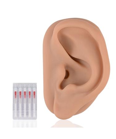 Acupuncture Ear Model  Left Artificial Ear Replica for Auricular Therapy Teaching  Silicone Ear Simulator Acupuncture Practice Authentic Human Ear Simulation