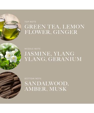 Aroma360 All of Me - 120mL | Premium Fragrance for a Relaxing Ambience | International Shipping Available - Buy Online on GoSupps.com