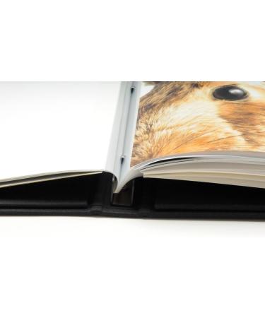 Pina Zangaro Adhesive Hinge Strips 11 inch 10-Pack (71802) - Easy Attachment Solution - Buy Online on GoSupps.com