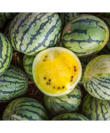 Kalahari Melon Seed Oil Organic Cold Pressed Unrefined Natural 2 Fl Oz - Buy Online on GoSupps.com