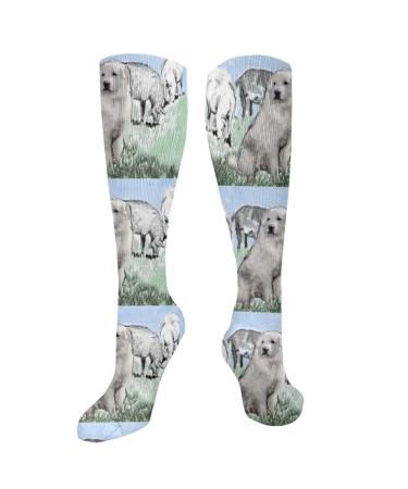 Great Pyrenees Pastoral compression socks for women and men with a circulation of 15 20 mmHg is the best support for sporty running and cycling