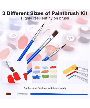 iCoostor Paint by Numbers Kit - Abstract Horse Pattern - DIY Acrylic Painting for Kids & Adults - 12x16 Wooden Frame - Buy Online on GoSupps.com