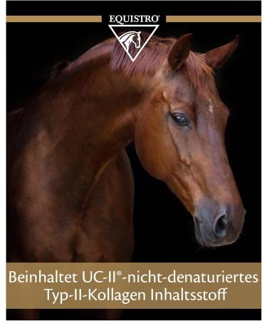 Vetoquinol Equistro Flexadin Advance 2.4 kg | Joint Supplement for Horses | Supports Osteoarthrosis & Joint Metabolism | Omega-3 Fatty Acids & Frankincense Extract - Buy Online on GoSupps.com