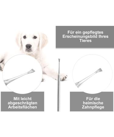 Dog Scaler Tartar Remover for Pets - Stainless Steel Teeth Cleaning Tool | Wing Shape Dental Care - Buy Online on GoSupps.com