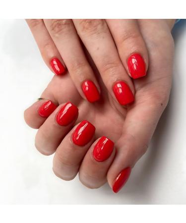 Lola Lee Gel Polish | Currently Holding It Together | GP086 | 15ml |Long-Lasting | Chip Proof | Soak-Off | Nail Art | Manicure & Pedicure | Easy to Apply |Salon and Home Use | LED UV Lamp - Buy Online on GoSupps.com