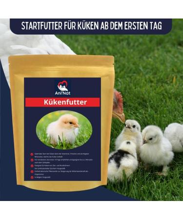 Aninat Chick Food - Premium Starter Feed with Vitamins Proteins & Minerals | Antibiotic-Free & Non-GMO (1.8 kg) - Buy Online on GoSupps.com