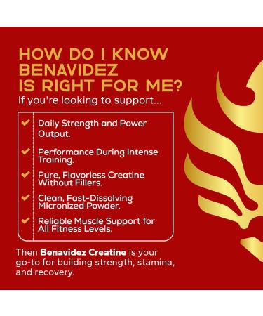 Benavidez Micronized Creatine Monohydrate Powder 5000mg Pure Unflavored Creatine Supplement for Muscle Strength Performance & Recovery Non-GMO Gluten-Free Made in USA 100 Servings - Buy Online on GoSupps.com