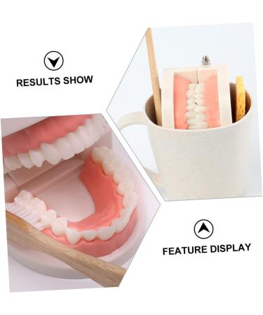 Healvian 2 Sets Early Dental Education Toys - Wooden Reusable Clean Model for Preschool Learning | International Shipping - Buy Online on GoSupps.com